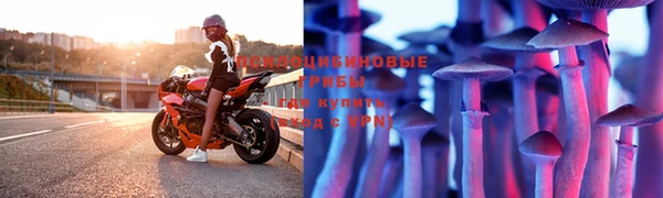 винт Алексин
