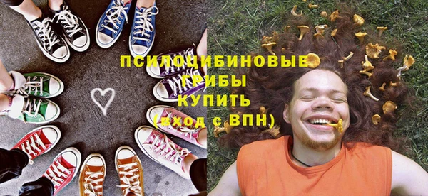 сатива Переславль-Залесский