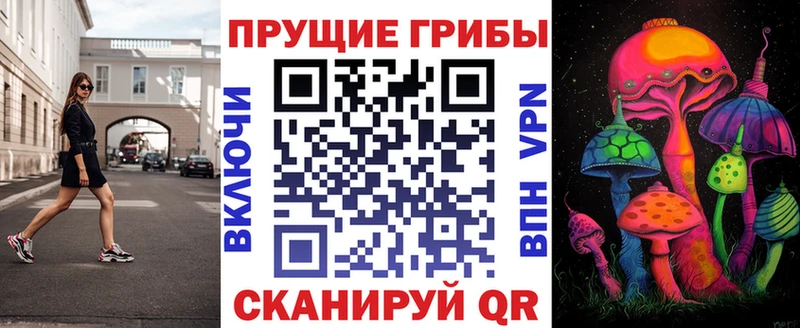 Псилоцибиновые грибы прущие грибы  Тула 